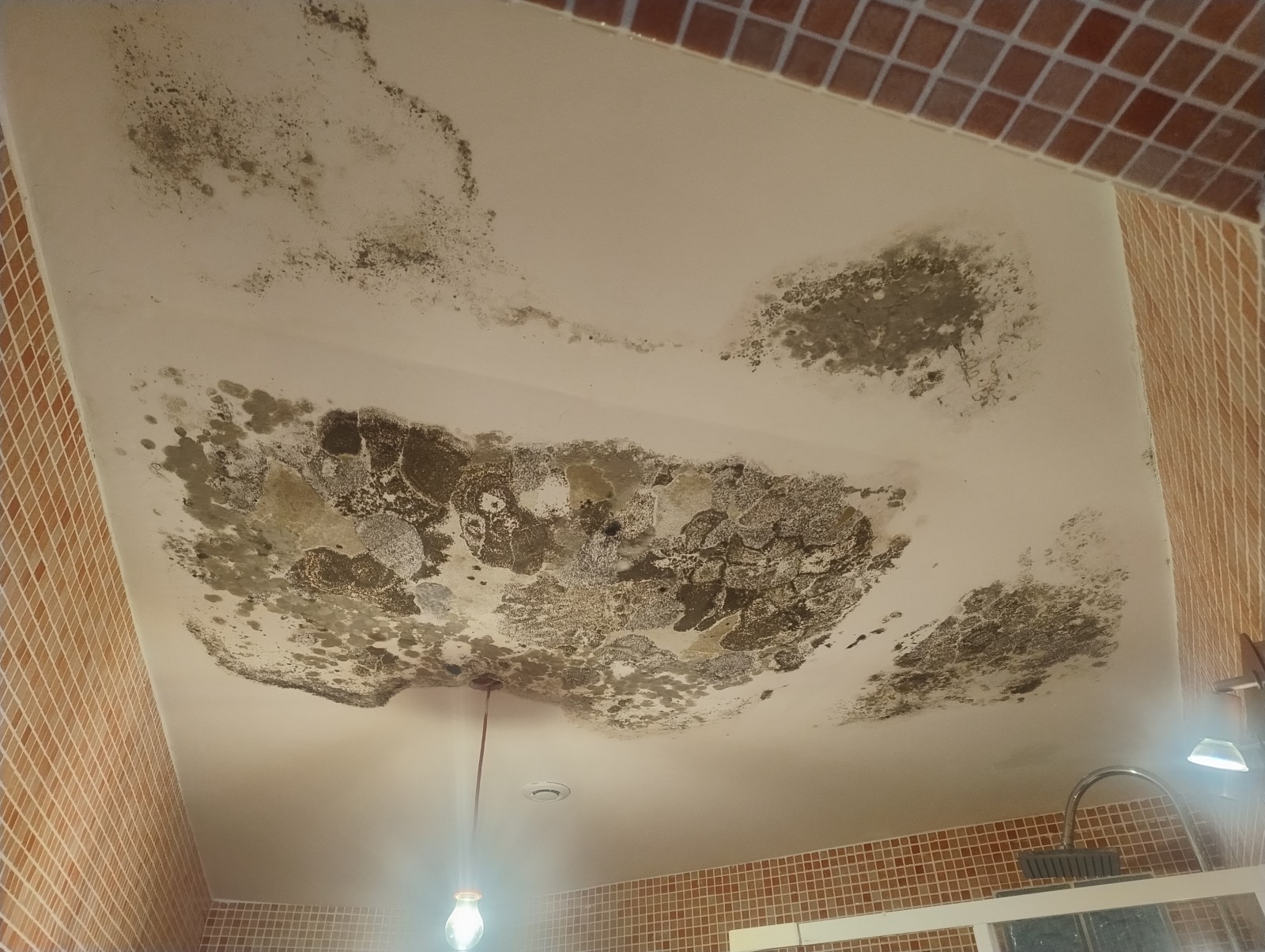 traitement des moisissures sur un faux plafond hyeres var